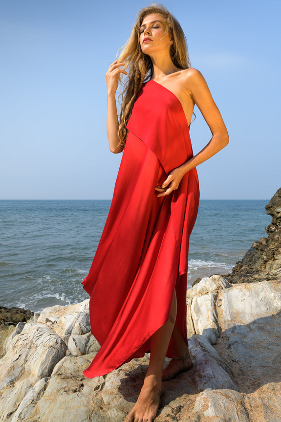 Stephany Silk Paneled One Shoulder Dress - Republic of Mode